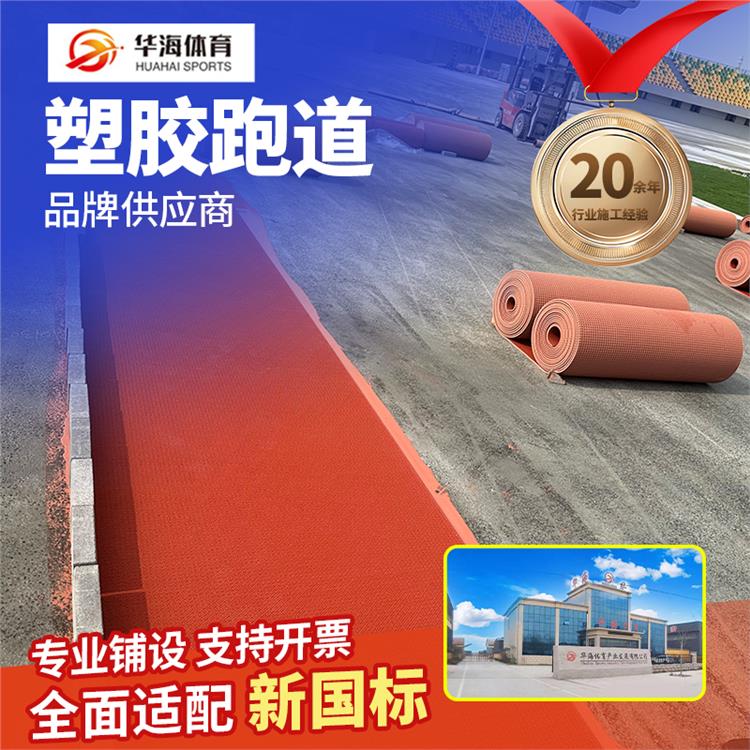 绵阳市半预制跑道预制跑道卷材 - 推荐